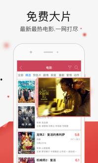 在线观看手机视频播放